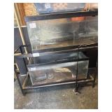 Fish tank stand and 2 40g tanks