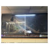 4x4x2 dubia reptile enclosure