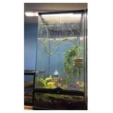 Super tall reptile enclosure w/ a few types of
