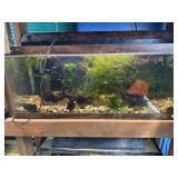 Guppies
