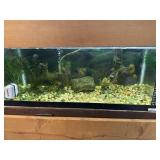 20g aquarium