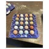 20 Count Eggs