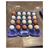 20 Count Eggs