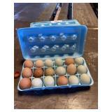 18 Count Eggs