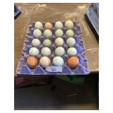 20 Count Eggs