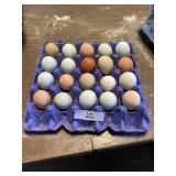 20 Count Eggs
