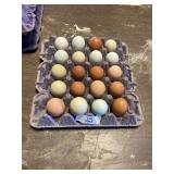 20 Count Eggs