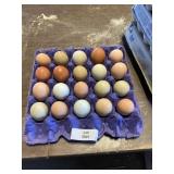 20 Count Eggs