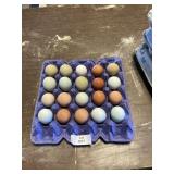 20 Count Eggs