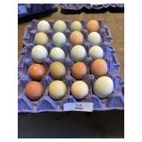 20 Count Eggs