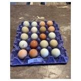 20 Count Eggs