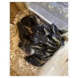 Ruwen Ducks