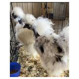 Turkin White Silky