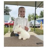 Ruby Muhlenkamp - Rabbit