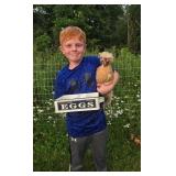 Mikken Huftel - Eggs (Egg Laying Hens)