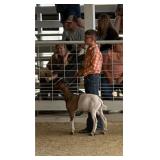 Drake Somers Goat