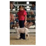 Danielle Somers Goat