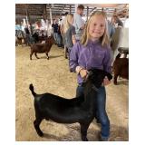 Vivian Heinrichs - Goat