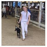 Ramzey Huftel Goat
