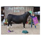 Owen May - Grand Champion Dairy Beef Cross