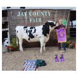 Carter May - Grand Champion Dairy Beef Steer