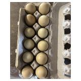 1 Doz. Olive Egger Eggs