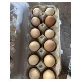 1 Doz. Laughing Chicken Eggs