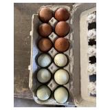 1 Doz. Copper Maran / Crested Creme Bar Eggs