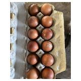 1 Doz. Copper Maran Eggs