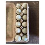 1 Doz. Crested Creme Bar Eggs