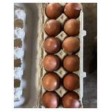 1 Doz. Copper Maran Eggs