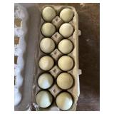 1 Doz. Crested Creme Bar Eggs