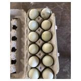 1 Doz. Crested Creme Bar Eggs