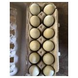 1 Doz. Crested Creme Bar Eggs