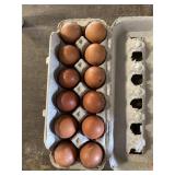 1 Doz. Copper Maran Eggs