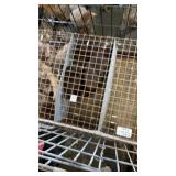 Australopes Pullets