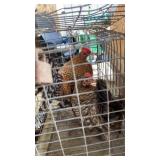 Pair Crele Old English