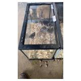 Fish Tank