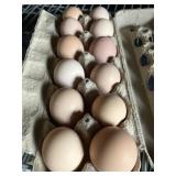 1 Doz. Plymouth Rock Eggs