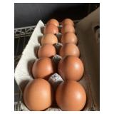 1 Doz. Maran Eggs