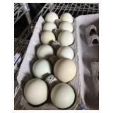 1 Doz. Americana Eggs