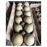 1 Doz. Olive Egger Eggs