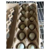 Quail Eggs