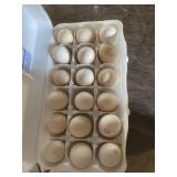 18 pk Barred Rock Bantam Eggs