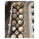 1 Doz. Laughing Chicken Eggs