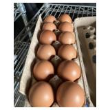 1 Doz. Maran Eggs