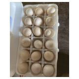 18 pk Barred Rock Bantam Eggs