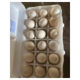 18 pk Old English Bantam / Barred Rock Eggs