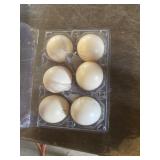 1 Doz. Silkie Eggs