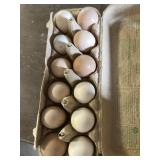 1 Doz. Laughing Chicken Eggs